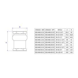 Válvula de Retenção Deca Vertical 4 Classe 125s