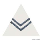6060683A_V1A