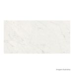 6060590A_V1A