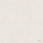 6062559A_V4A